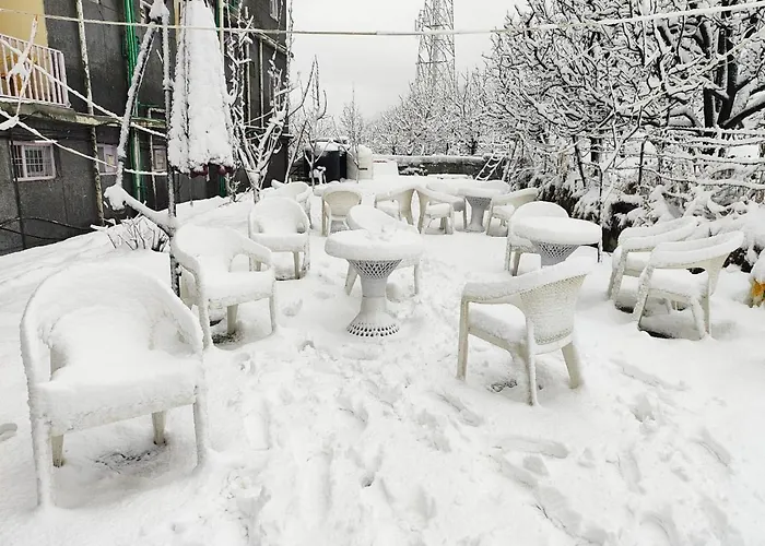 Elena Aastha Regency- A Valley View Hotel Manali 